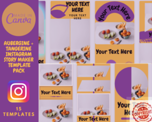 15 Aubergine & Tangerine Theme Canva Instagram Story Templates Pack